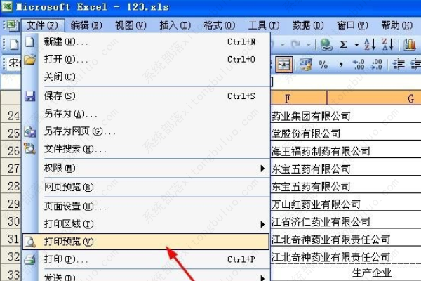 excel表格打印预览只显示一页怎么回事？