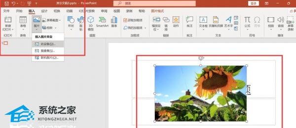 PPT如何把图片动画设置为进入旋转？PPT图片动画设置为进入旋转的方法