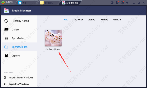 BlueStacks导入电脑图片的方法教程