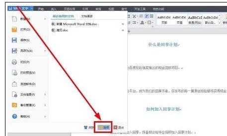WPS文字段落之间有很多的小箭头怎么回事？