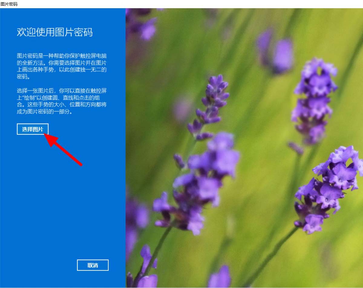 Win11系统怎么设置图片密码？Win11图片密码设置方法