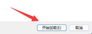 Win11系统怎么进行分区加密？Win11分区加密具体步骤