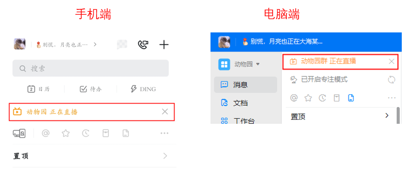 钉钉怎么看直播 钉钉观看群直播方法