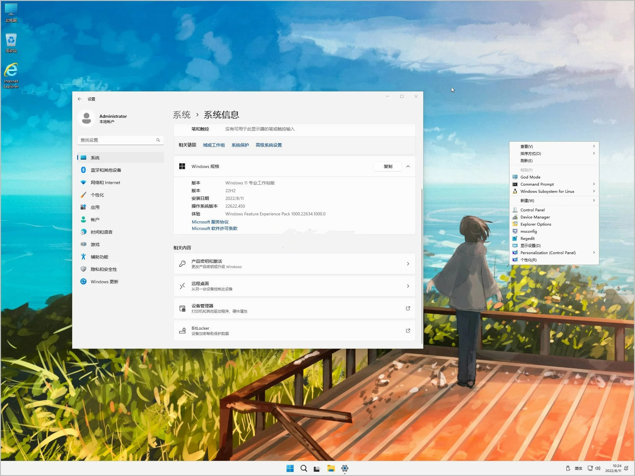 Win11 22622.586_Windows11 22H2 22622.586专业工作站优化版下载