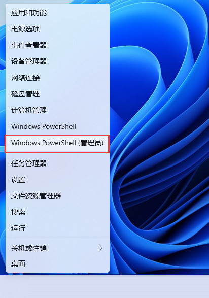 Win11隐私和安全性里都没有Windows安全中心这个选项怎么办？