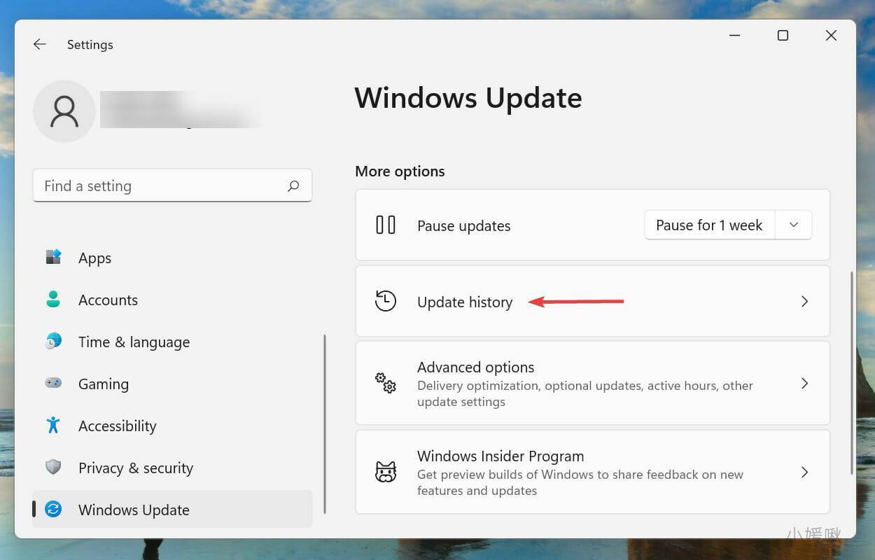 Win11更新22622.450(KB5016700)固态硬盘丢失文件丢失怎么解决？