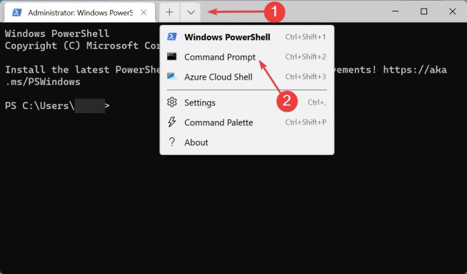 Windows11 22632.1000玩帝国时代2决定版经常绿屏怎么办？