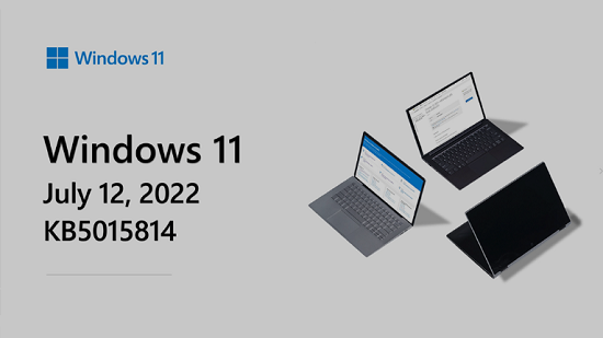 Win11最新22000.795版本下载_Win11 22000.795正式版官方镜像免费下载