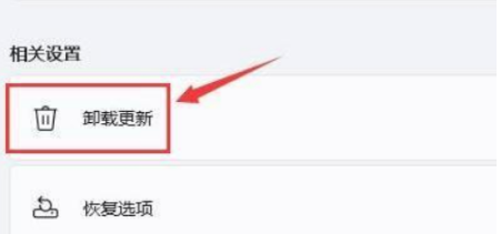 Win11黑屏无法启动怎么办？Win11黑屏无法启动的解决方法
