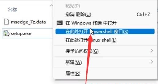 Win11怎么卸载edge？Win11卸载edge教程