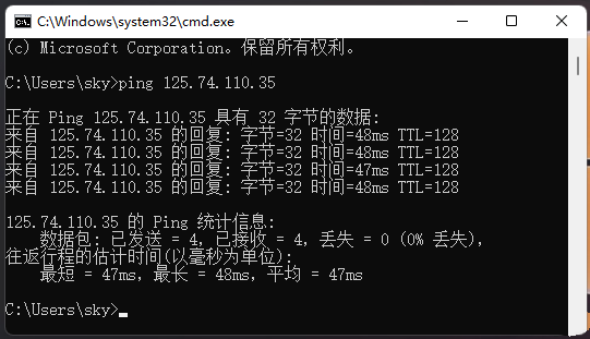 Win11怎么ping网络IP地址？Win11网络地址ping测试方法