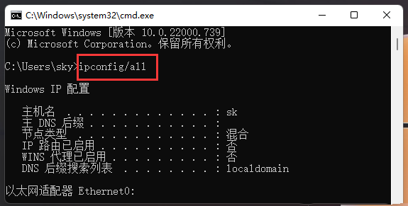Win11怎么ping网络IP地址？Win11网络地址ping测试方法