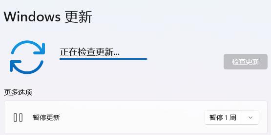 Win11动态壁纸用不了？Win11动态壁纸设置方法