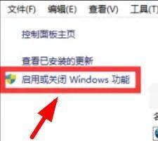 Win11的IIS管理器怎么打开？Win11启用IIS管理器的图文教程