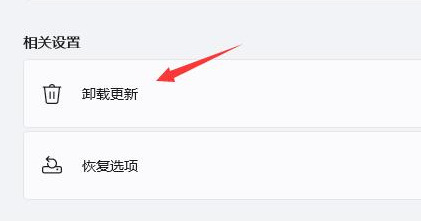 win11更新后闪屏怎么办？win11更新后闪屏的解决方法