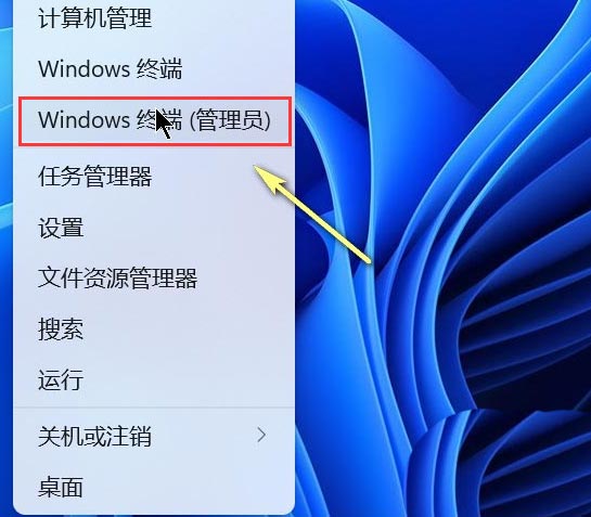 Win11系统怎么重设Winsock目录？Win11重设管理终端目录教程