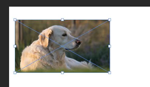 PS图片缩小后变模糊怎么办？Ps图片缩小后模糊不清的解决方法