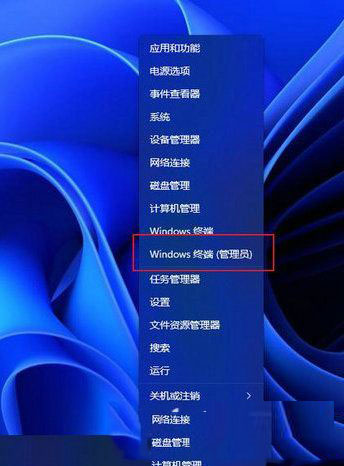 Win11正式版安装新版WSA子系统详细图文步骤