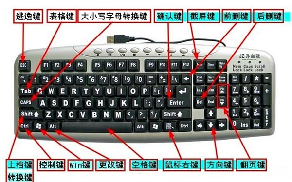 Win11无线鼠标没反应怎么回事？Win11无线鼠标不能用的解决方法