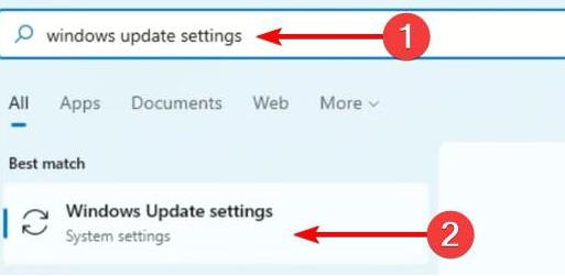 Win11系统相机被禁用了怎么办？Win11相机用不了的解决方法