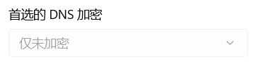 Win11首选的DNS加密无法选择怎么解决？
