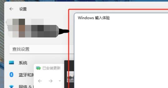 Windows11输入体验怎么关？Win11输入体验关闭教程