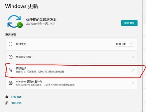 Win11系统的传递优化功能怎么关闭？Win11关闭传递优化功能教程