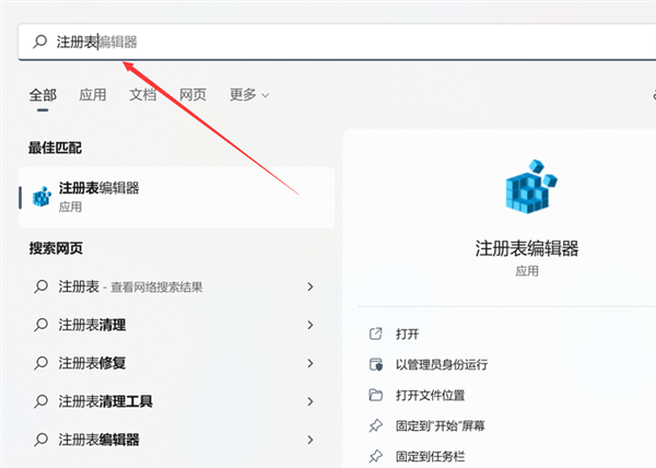 Win11怎么关闭网络搜索？Win11关闭网络搜索教程