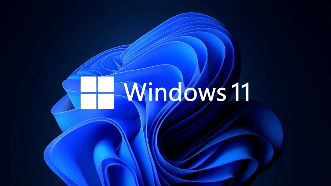 Win11系统怎么查看显卡消耗？Win11查看显卡消耗教程