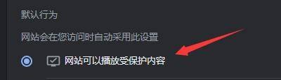 谷歌浏览器怎么设置允许播放受保护内容？
