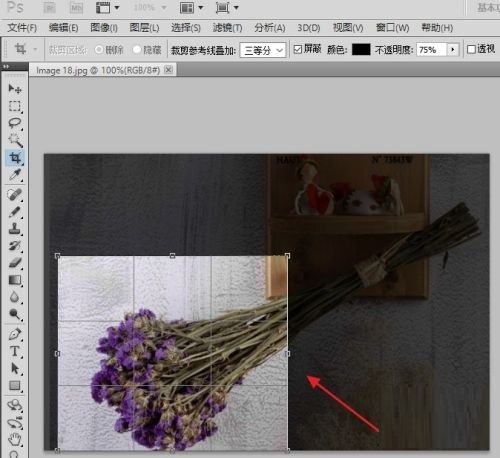 photoshop怎么进行截图？photoshop进行截图的教程