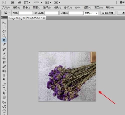 photoshop怎么进行截图？photoshop进行截图的教程