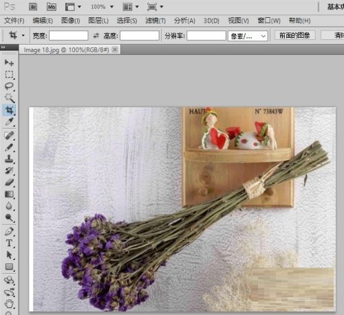 photoshop怎么进行截图？photoshop进行截图的教程