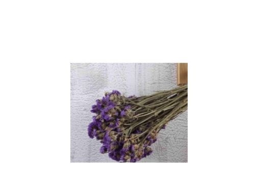 photoshop怎么进行截图？photoshop进行截图的教程