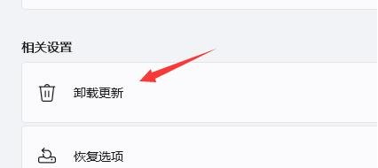 Win11电脑闪屏怎么解决？Win11电脑闪屏解决方法教程
