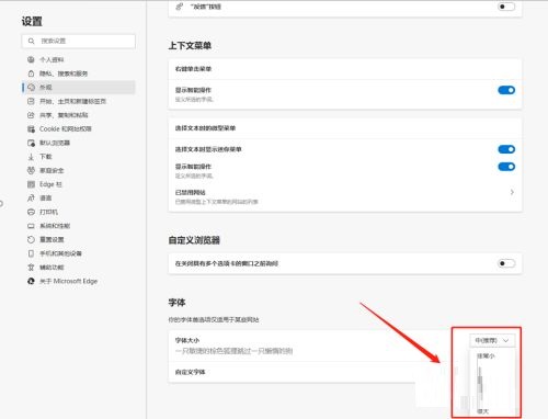 Microsoft Edge浏览器如何更改字体大小？Microsoft Edge更改字体大小教程