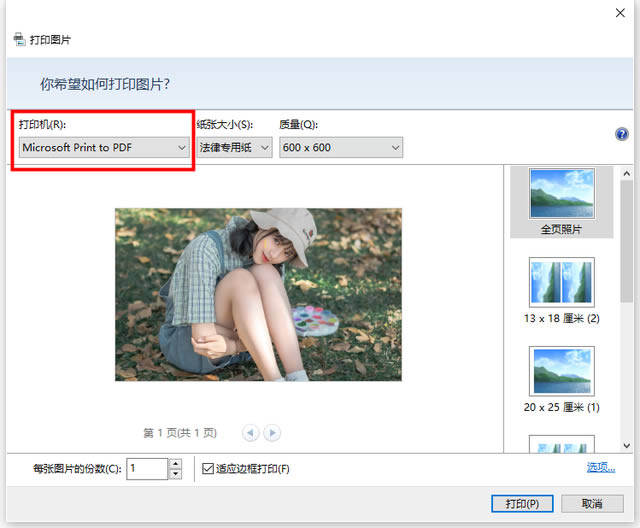 Win10如何将文档图片网页转换成PDF文档？