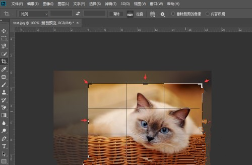 Ps如何裁剪图片？ Ps对图片进行裁剪的方法