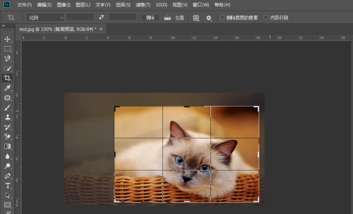 Ps如何裁剪图片？ Ps对图片进行裁剪的方法