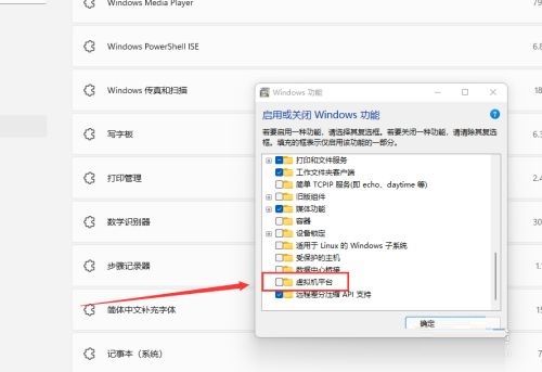 Win11如何开启虚拟机平台？Win11开启虚拟机平台的方法