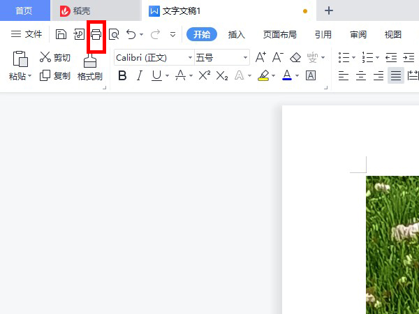 Wps如何打印固定文档页？Wps打印固定文档页的方法