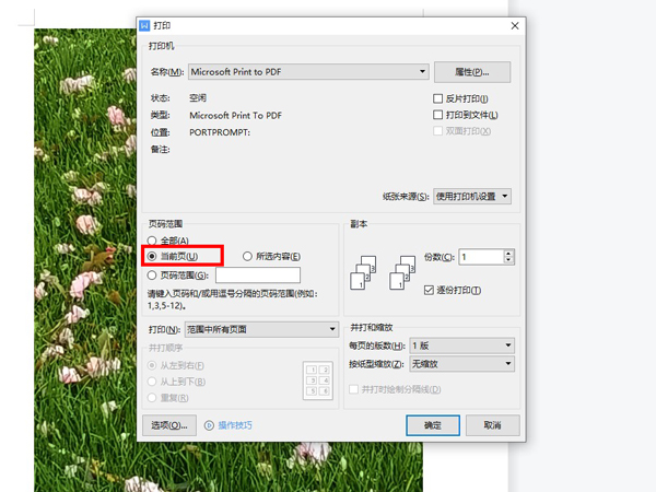 Wps如何打印固定文档页？Wps打印固定文档页的方法