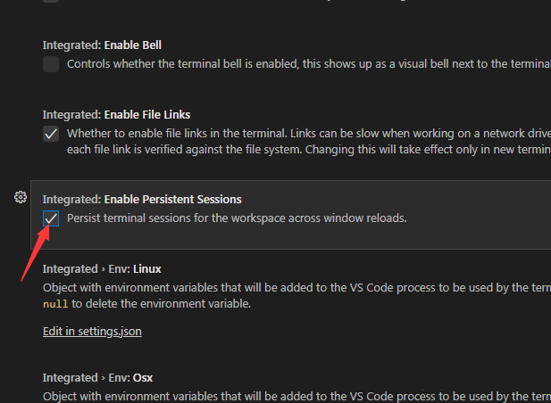  vscode开启持久会话的技巧