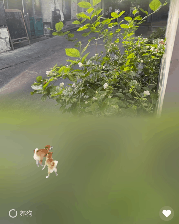 冲上热搜！微信农场正式开业：能在海边溜猪床上养蟑螂(附教程）