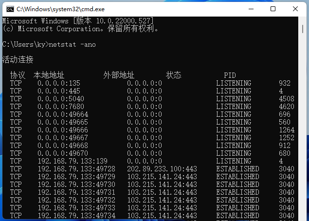 Win11查看端口是否占用方法