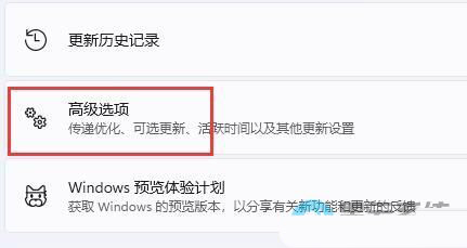 Win11如何开启vt？Win11开启虚拟化功能教程