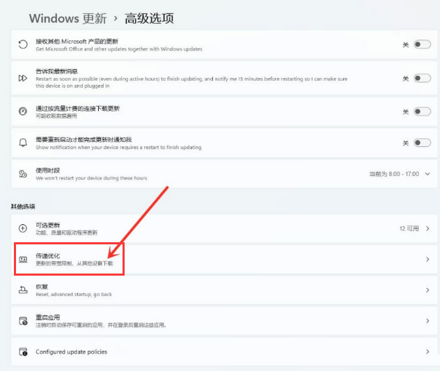 Win11开启传递优化功能的详细图解