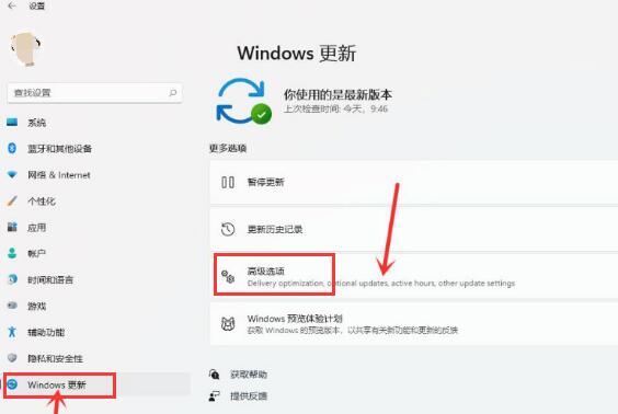 Win11开启传递优化功能的详细图解