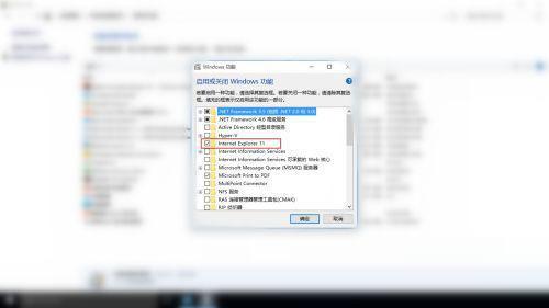 Win10 ie浏览器闪退怎么办？Win10 ie浏览器闪退进不去怎么修复？