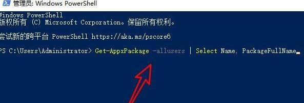 Win11应用商店点了为什么没反应?Win11应用商店点了没反应解决方法截图